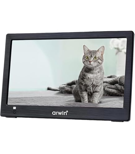 Wizz 11.6インチポータブルテレビ WPT-H1100 Amazon | WPT-H1100 11.6型ポータブルテレビ 地デジワンセグ
